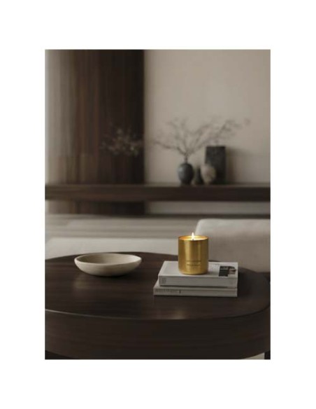 Candela profumata Wellmark