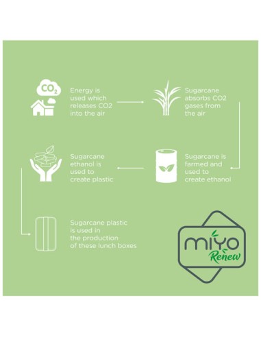 Portavivande a strato singolo MIYO Renew da 700 ml