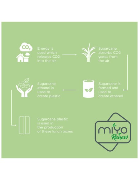 Portavivande a strato singolo MIYO Renew da 700 ml