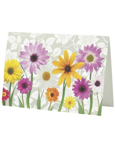 Biglietto di auguri formato A5 Herald