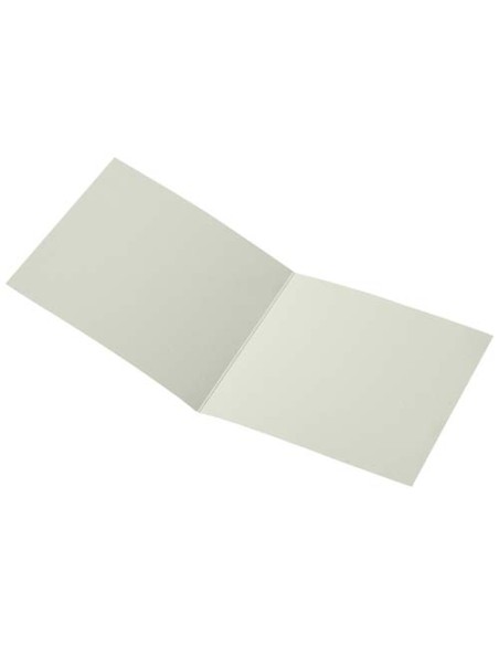 Biglietto di auguri di forma quadrata Herald