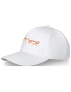 Cappellino a 5 pannelli da 260 g/m² Doyle