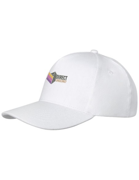 Cappellino a 5 pannelli da 260 g/m² Doyle
