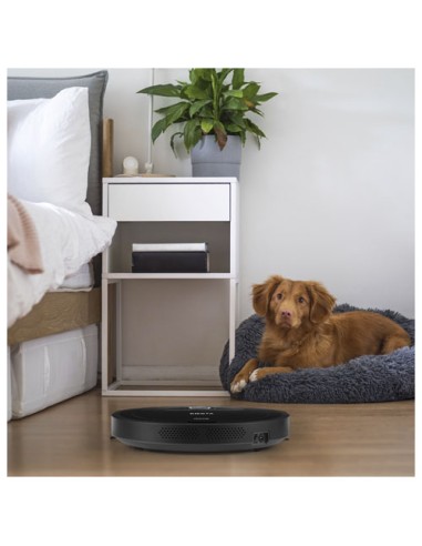 Aspirapolvere robot Prixton