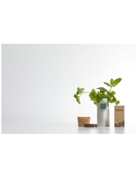 Giardino da scrivania con mix di erbe Hey Pots