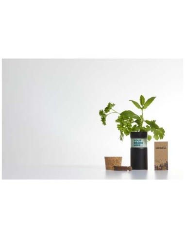 Giardino da scrivania con mix di erbe Hey Pots