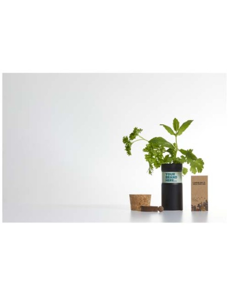 Giardino da scrivania con mix di erbe Hey Pots