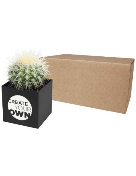 Vaso in alluminio con pianta, cactus Hey Pots