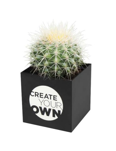 Vaso in alluminio con pianta, cactus Hey Pots