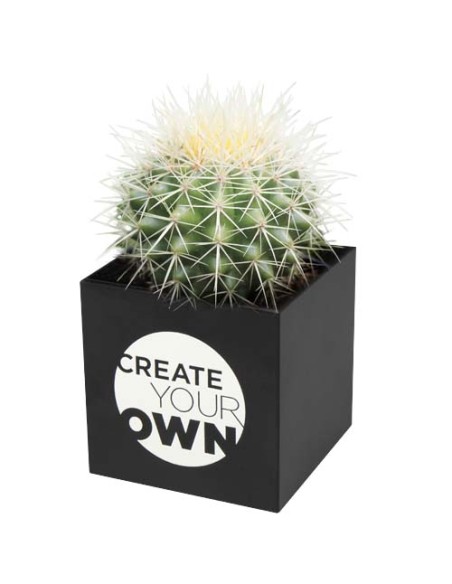 Vaso in alluminio con pianta, cactus Hey Pots