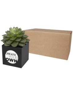 Vaso in alluminio con pianta grassa, succulenta Hey Pots