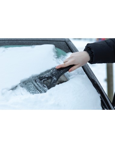 Raschiaghiaccio 3 in 1 Polard in plastica riciclata RCS