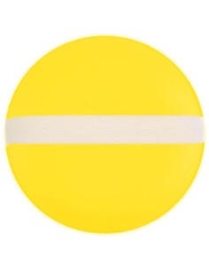 Gioco di lancio e presa della pallina Flicka