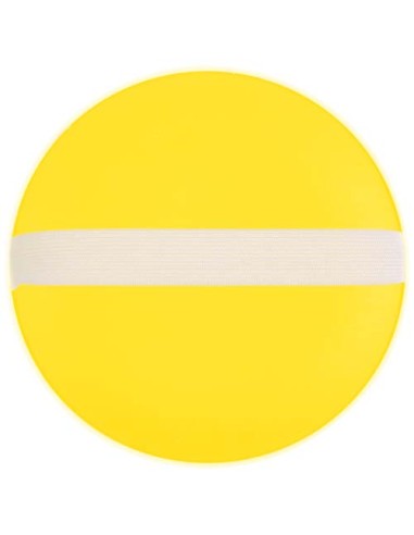 Gioco di lancio e presa della pallina Flicka