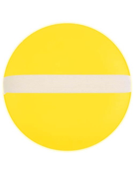 Gioco di lancio e presa della pallina Flicka