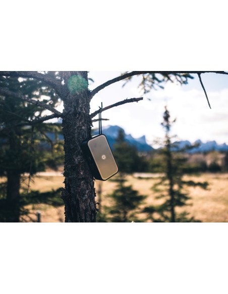Speaker 10W Swiss Peak in rAlluminio RCS