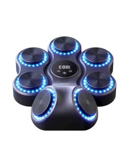 Macchina da boxe Prixton Combat Pro BM150