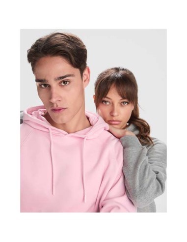 Felpa con cappuccio unisex in cotone biologico da 300 g/m² Vinson
