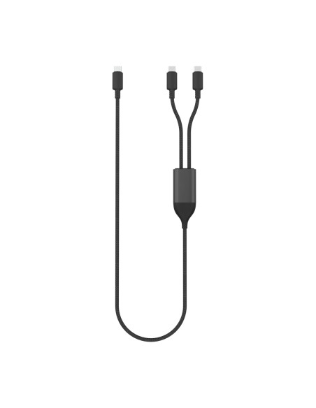 Cavo Terra 100W con doppia uscita type C