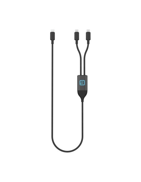Cavo Terra 100W con doppia uscita type C