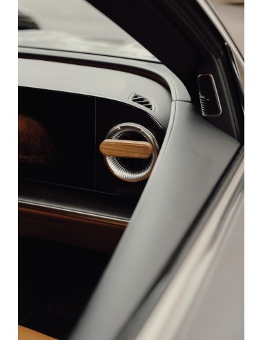 Profumatore auto VINGA Nordic essence