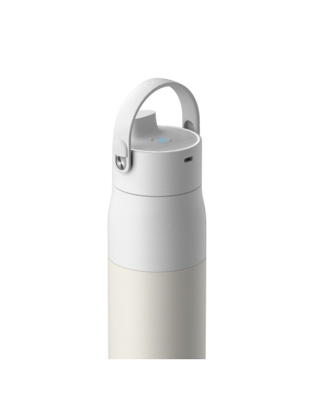 Bottiglia filtrante BRITA LARQ IQ 680ml
