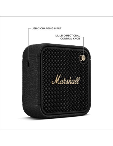 Speaker Marshall Willen II 17H+