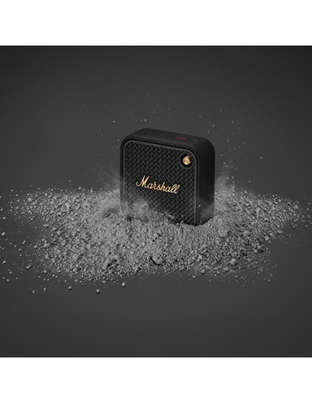 Speaker Marshall Willen II 17H+