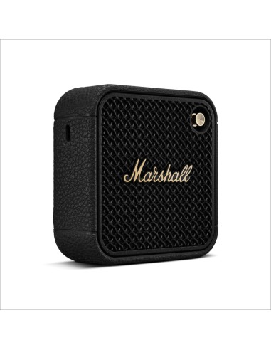 Speaker Marshall Willen II 17H+