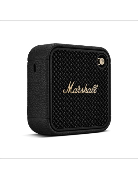 Speaker Marshall Willen II 17H+