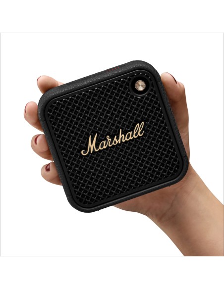 Speaker Marshall Willen II 17H+