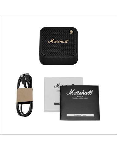 Speaker Marshall Willen II 17H+