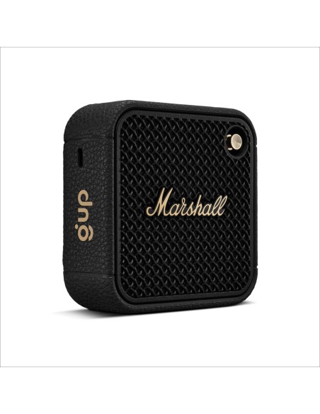 Speaker Marshall Willen II 17H+