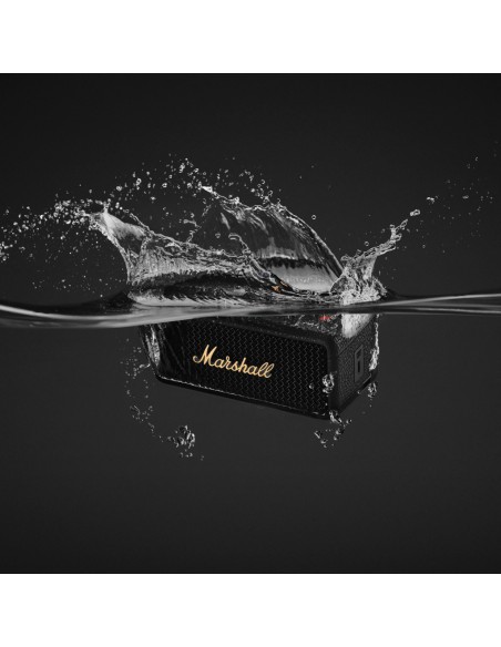 Speaker Marshall Emberton III 31H+