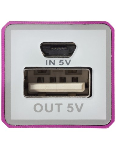 Powerbank WS101 da 2200/2600 mAh