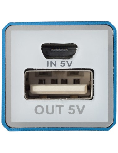 Powerbank WS101 da 2200/2600 mAh