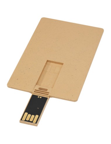 USB carta di credito con scocca biodegradabile