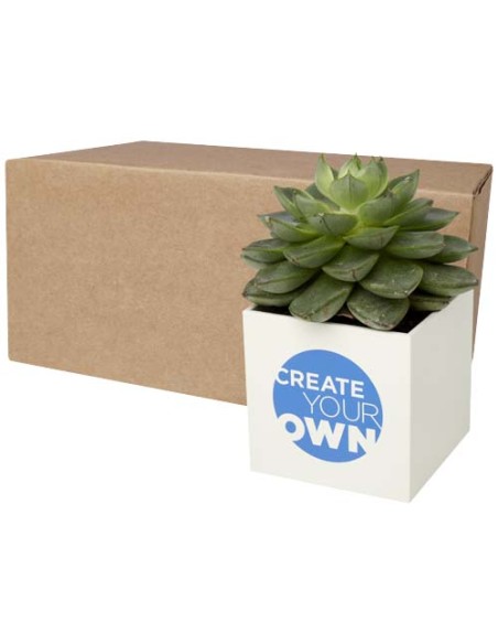 Vaso in alluminio con pianta, cactus Hey Pots