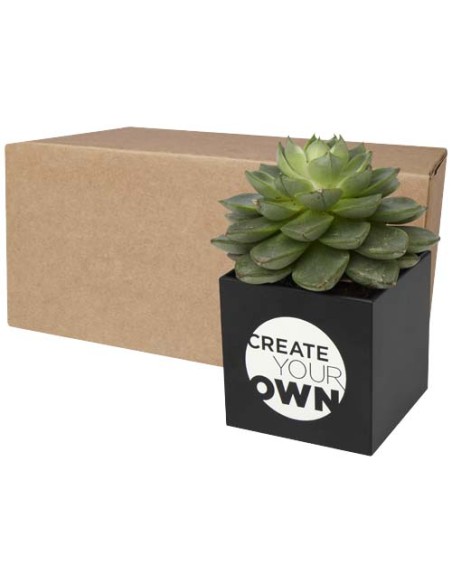 Vaso in alluminio con pianta, cactus Hey Pots