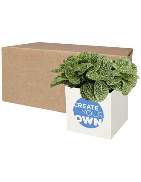 Vaso in alluminio con pianta grassa, succulenta Hey Pots